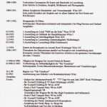 3 Zeiler Vorlage Best Of Gemütlich Flugbegleiter Lebenslauf Galerie Entry Level