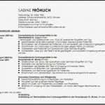 3 Zeiler Vorlage Schön Charmant Hohe Paid Technik Lebenslauf Zeitgenössisch