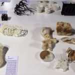 3d Drucker Vorlagen Neu 3d Drucker Kaufen – Zukunft Bei Uns Im Test