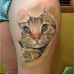 3d Vorlagen Beste Katze Arm 3d Tattoo