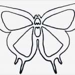 3d Vorlagen Zum Ausdrucken Luxus Schmetterling Basteln Schmetterlinge Aus Filz Papier
