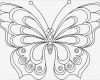 3d Vorlagen Zum Drucken Fabelhaft Schmetterling Malvorlage 04 Anleitungen