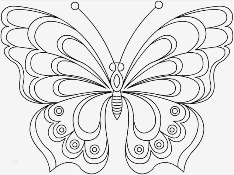 3d Vorlagen Zum Drucken Fabelhaft Schmetterling Malvorlage 04 Anleitungen