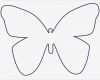 3d Vorlagen Zum Drucken Inspiration Die 25 Besten Schmetterling Vorlage Ideen Auf Pinterest