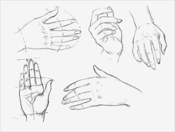 3d Zeichnen Vorlagen Beste Die Besten 25 Zeichnen Für Anfänger Ideen Auf Pinterest