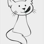 3d Zeichnen Vorlagen Bewundernswert Ziemlich Vorlage Zeichnen Fotos Entry Level Resume