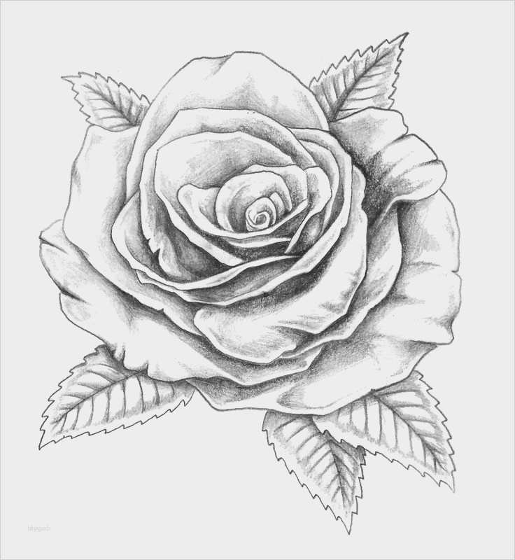 3d Zeichnen Vorlagen Elegant 3d Zeichnen Vorlagen Bewundernswert Über 1 000 Ideen Zu