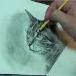 3d Zeichnen Vorlagen Großartig Katze Zeichnen Lernen Yeah 1 Freitags Lektion