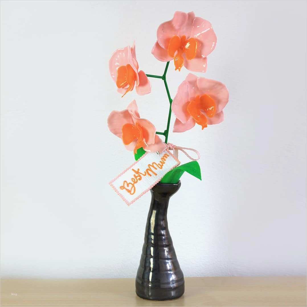 3doodler Vorlagen Best Of Stencils – 3doodler Support