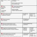 8 D Report Vorlage Schönste Helling Und Storch 8d