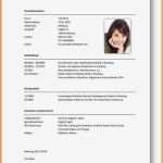 Abholberechtigung Kindergarten Vorlage Erstaunlich Steckbrief Erzieherin Kindergarten Vorlage Süß 10