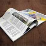 Abibuch Vorlage Best Of Die 25 Besten Ideen Zu Abizeitung Auf Pinterest