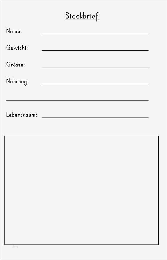 Abibuch Vorlage Erstaunlich Beste Steckbriefe Vorlage Zeitgenössisch Bilder Für Das