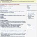 Abibuch Vorlage Inspiration Ziemlich Steckbriefe Vorlage Galerie Bilder Für Das