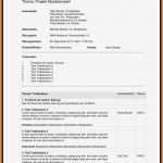 Abitur Lernplan Vorlage Einzigartig atemberaubend Lernplan Vorlage Fotos Beispiel