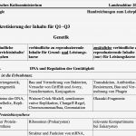 Abitur Lernplan Vorlage Neu Wie Man Sich Aus Handreichungen Seinen Persönlichen Abitur