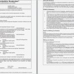 Abnahmeprotokoll Vorlage Kostenlos Angenehm Ablauf Und Abnahmeprotokoll Vob