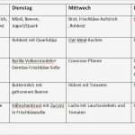Abnehmplan Vorlagen Hübsch Abnehmplan Vorlagen Süß ErnÄhrungsplan Erstellen Für