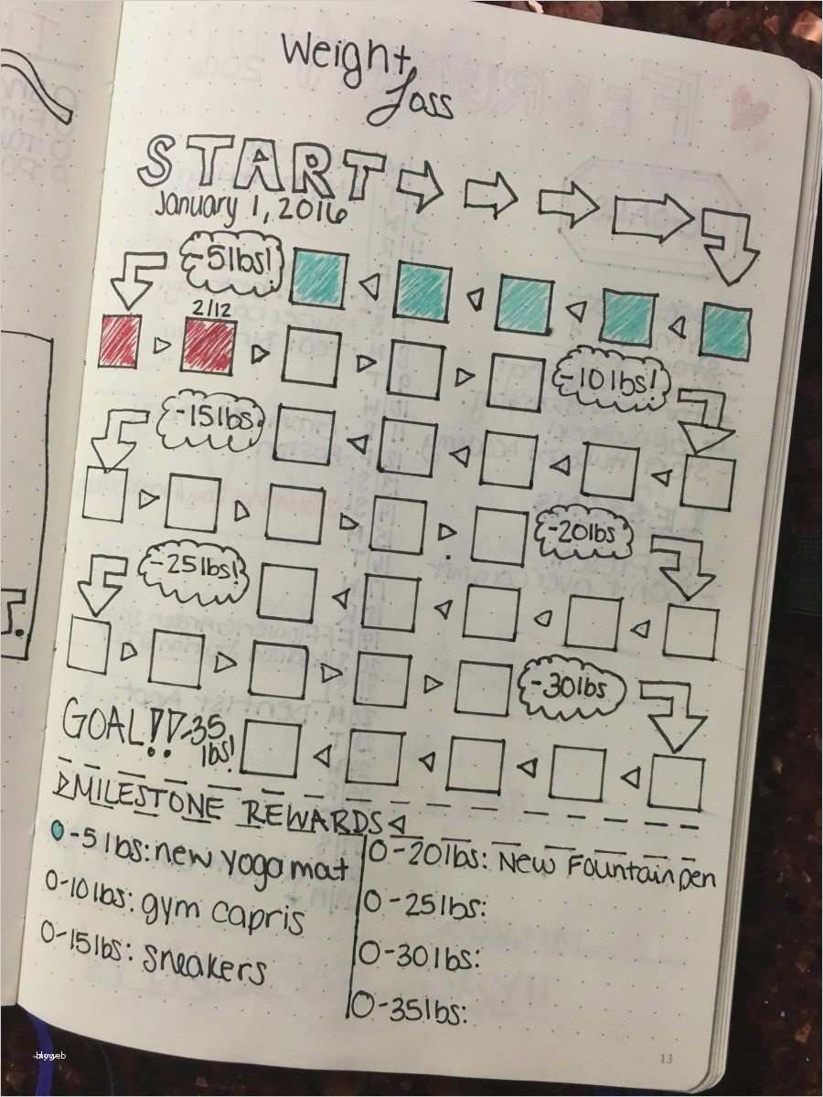 Abnehmplan Vorlagen Hübsch Berühmt Vorlage Für Allgemeine Journaleinträge