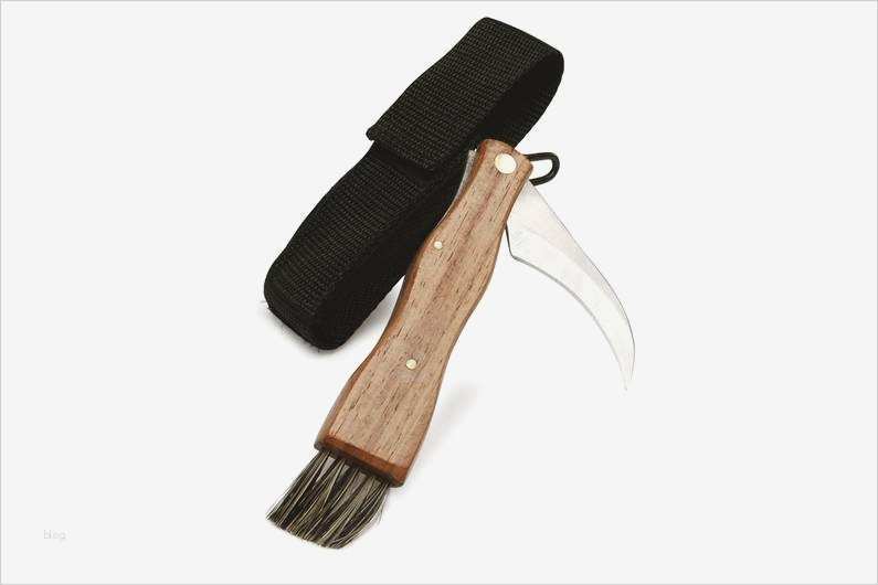 Abnehmplan Vorlagen Luxus Ernährungsplan Abnehmen Kostenlos Pdf Handy