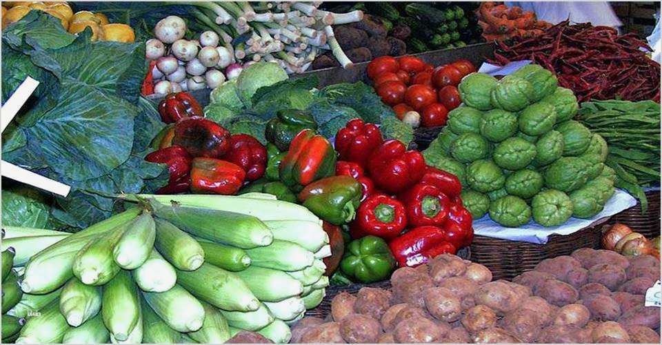 Abnehmplan Vorlagen Schönste Abnehmplan Vorlagen Gut Was Regt Nachts Die