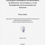 Abschlussarbeit Vorlage Luxus Deckblatt Masterarbeit