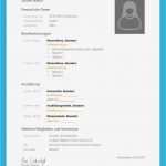 Abschlussbericht Praktikum Kindergarten Vorlage Großartig Lebenslauf Vorlage Praktikum Kostenloser Download