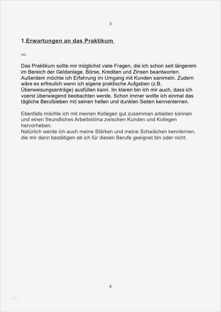 Abschlussbericht Praktikum Kindergarten Vorlage Süß Praktikumsmappe Sead Berisa