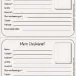 Abschlusszeitung Steckbrief Vorlage Neu Endlich Pause 2 0 Kleine Tiersteckbriefe