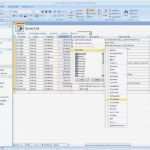 Access Materialverwaltung Vorlage Bewundernswert Abb 4 Access 2007 Erleichtert Dasfiltern Und sortieren