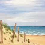 Acryl Collagen Vorlagen Genial Fischschwarm Bilder Meer Und Strandbilder In Acryl Und