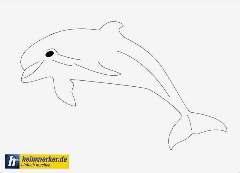 Acrylbilder Vorlagen Für Anfänger Zum Drucken Einzigartig Schön Süße Tier Malvorlagen Ideen Ideen fortsetzen