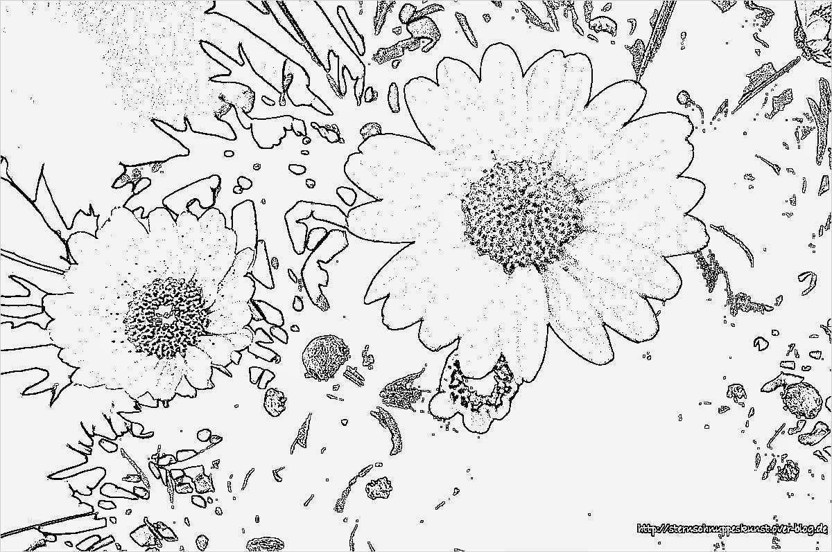 Acrylbilder Vorlagen Für Anfänger Zum Drucken Luxus Malvorlagen Gratis Malvorlagen Acrylbilder