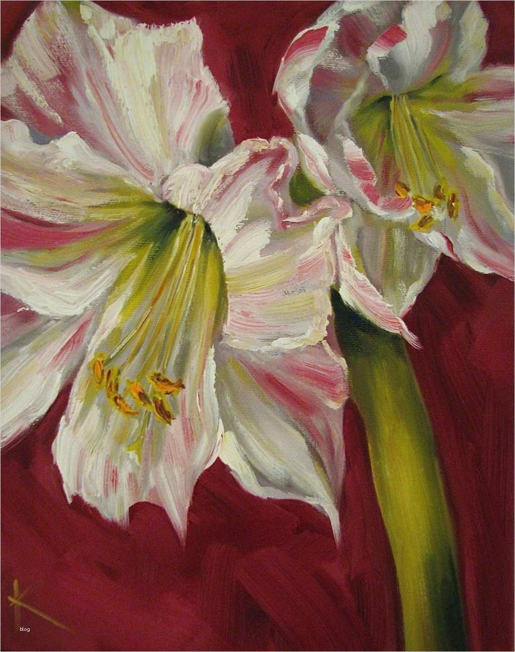 Acrylbilder Vorlagen Für Anfänger Zum Drucken Süß Amaryllis Acryl Bilder Amaryllis Acryl Bild Und Foto