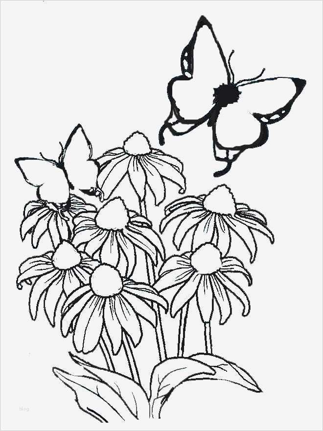 Acrylbilder Vorlagen Für Anfänger Zum Drucken Süß Malvorlagen Gratis Malvorlagen Kostenlos Blumen