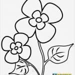 Acrylbilder Vorlagen Für Anfänger Zum Drucken Wunderbar Blumen Malvorlagen Kostenlose Ausmalbilder Mit Blumen