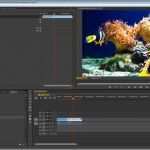 Adobe Premiere Vorlagen Fabelhaft Web Farbkorrektur Und Color Grading Web