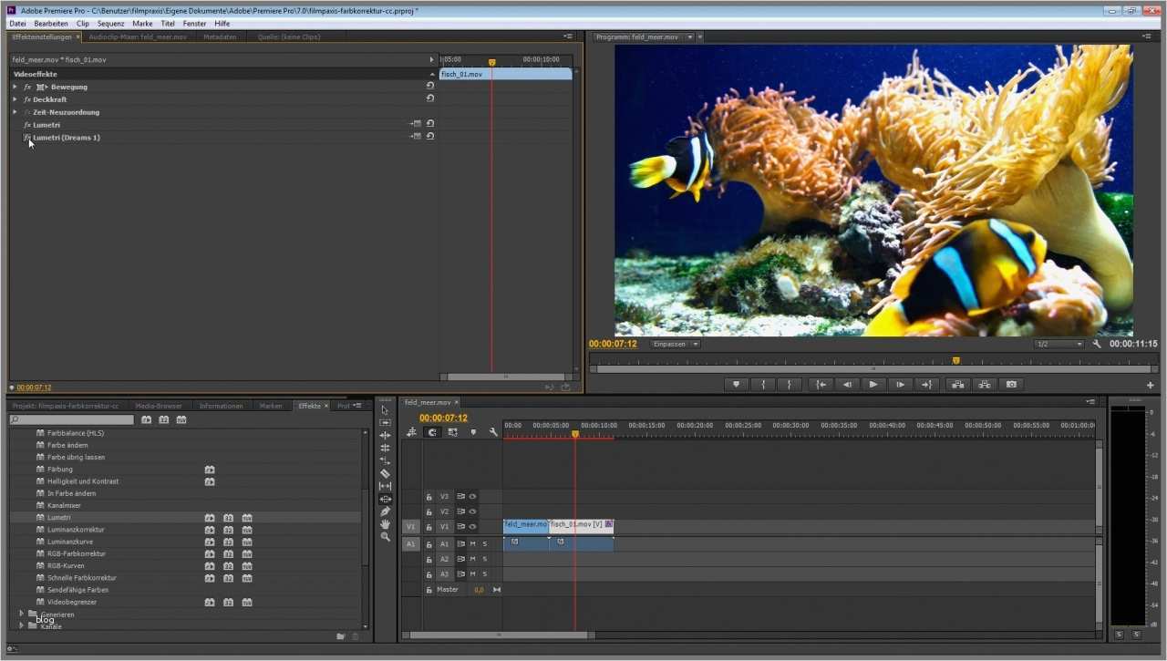 80 Erstaunlich Adobe Premiere Vorlagen Vorräte 2 Web Farbkorrektur und Color Grading Web