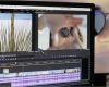 Adobe Premiere Vorlagen Gut Tag Archive for "webdesign"
