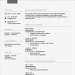 Adressänderung Vorlage Pdf Beste Lebenslauf 2017 Meinebewerbung