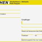 Adressaufkleber Drucken Vorlage Schönste Hedrm formulardrucker Für Paketaufkleber