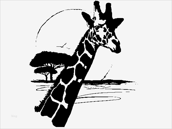 Afrikanische Masken Vorlagen Hübsch Wandtattoo Giraffe Afrika Länder & Kontinente