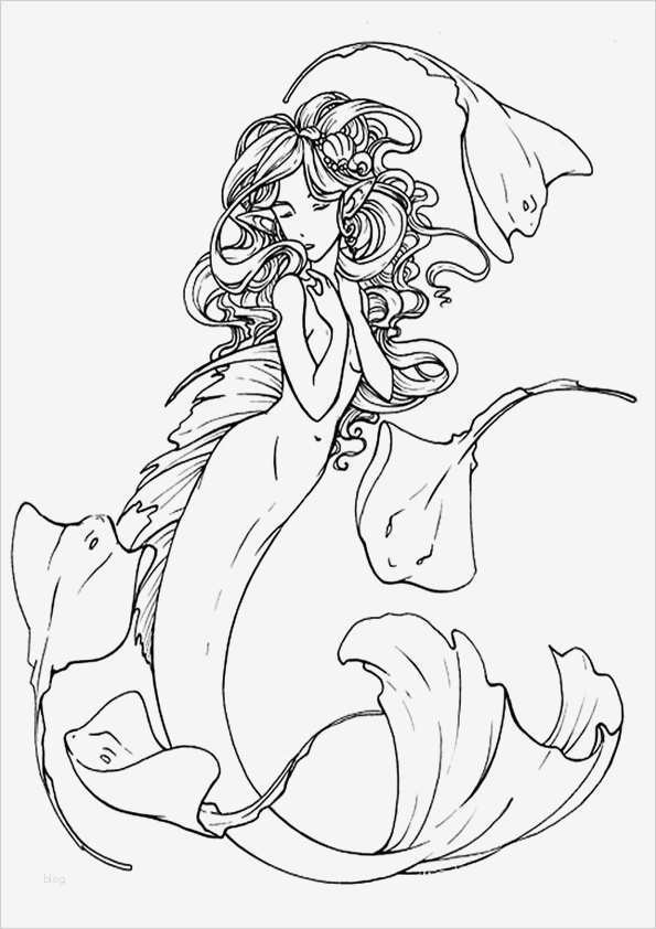 After Effects Vorlagen Kostenlos Erstaunlich Ausmalbilder Meerjungfrau 24