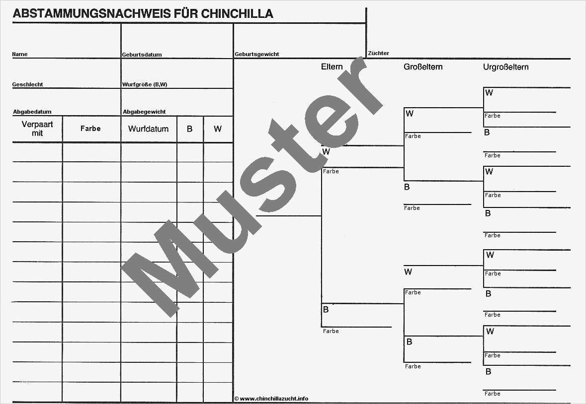 Ahnentafel Vorlage Best Of Chinchilla Zuchtinfo