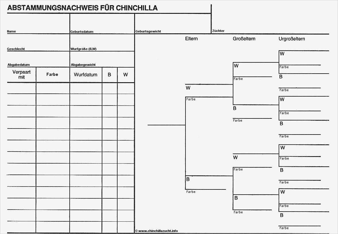 Ahnentafel Vorlage Best Of Ziemlich Stammbaum Stammbaum Vorlage Galerie Entry Level