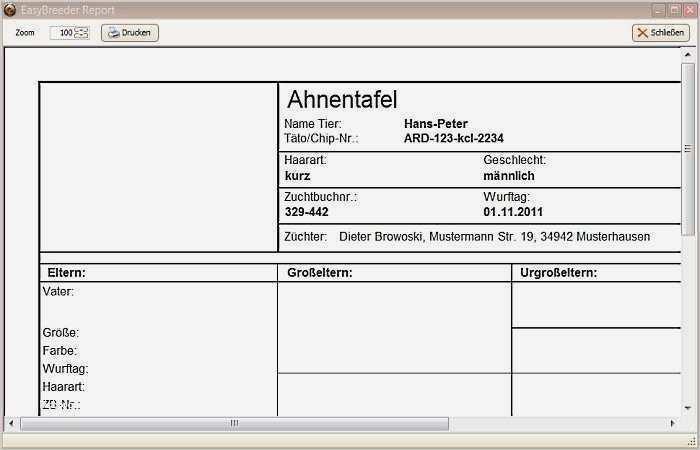 Ahnentafel Vorlage Genial tolle Stammbaum Line Vorlage Ideen Entry Level Resume