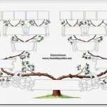 Ahnentafel Vorlage Kostenlos Angenehm 12 Besten Anjas Stammbaum Ideen Bilder Auf Pinterest