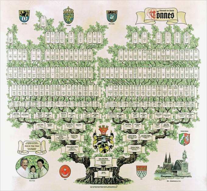 Ahnentafel Vorlage Neu Wir Erstellen Ihre Ahnentafel Pro Heraldica