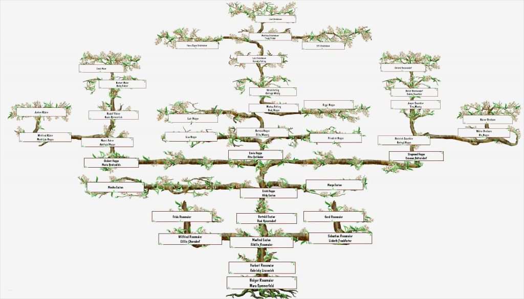 68 Erstaunlich Ahnentafel Vorlage Galerie 1 Ahnentafel Vorlage Schön Suhrsoft Individualsoftware Und Genealogieprogramme