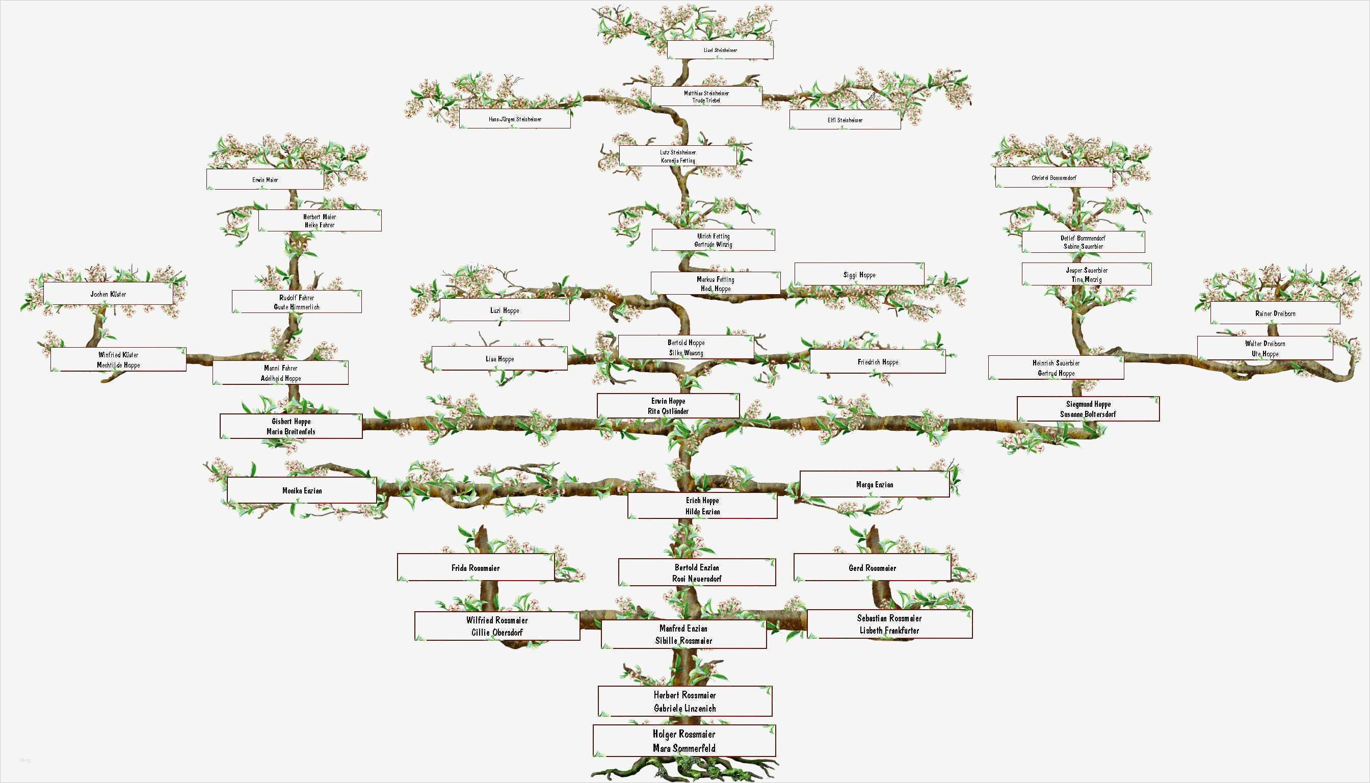 Ahnentafel Vorlage Schön Suhrsoft Individualsoftware Und Genealogieprogramme